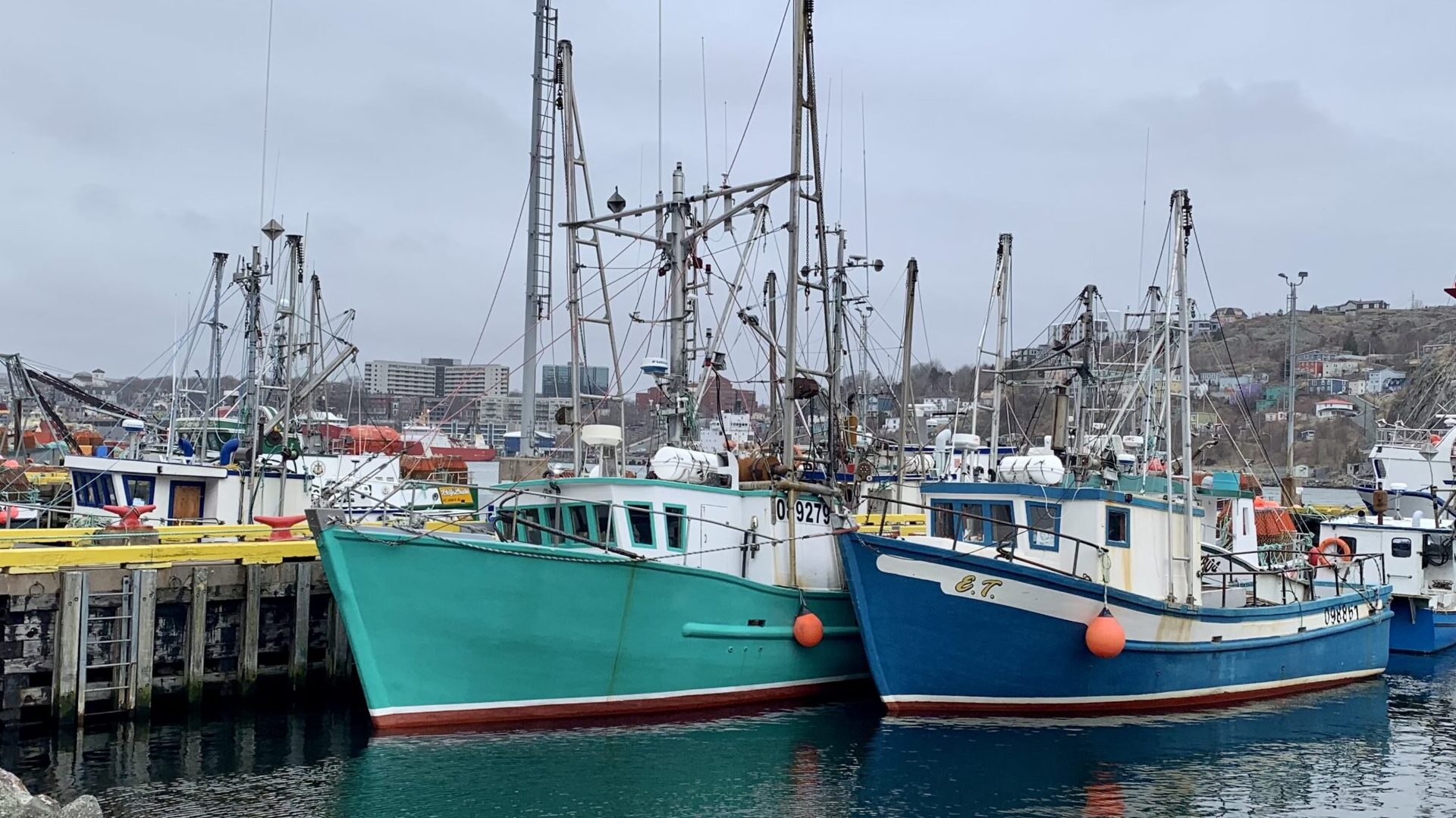 The rise, fall and (maybe) rise again of the Newfoundland cod fisheries